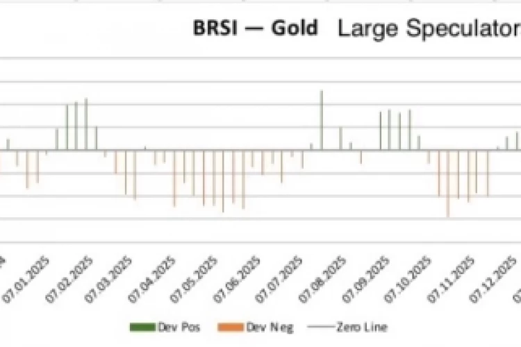 Крупные спекулянты BRSI GOLD