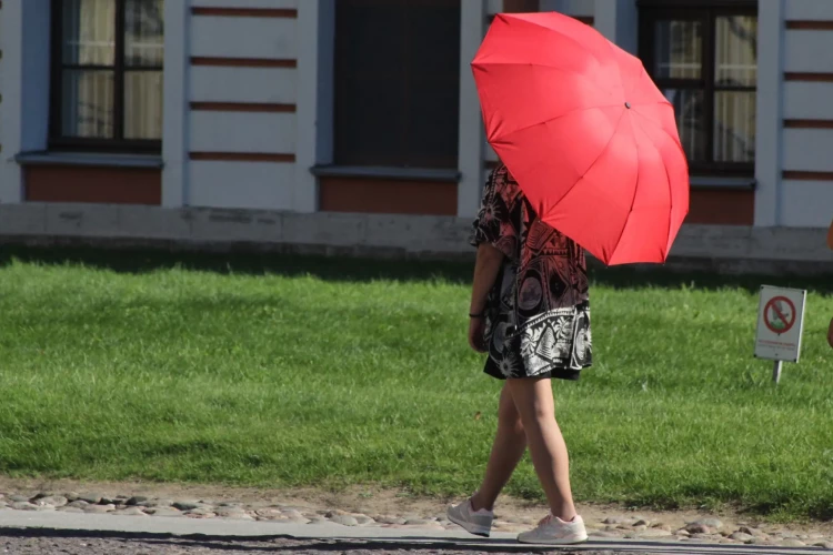 Температурная аномалия и дефицит дождей: итоги первой декады августа в Петербурге