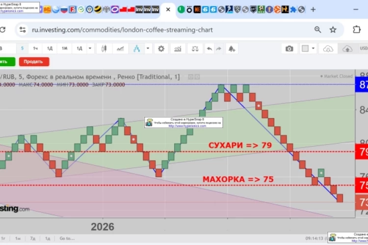 USD/RUB. Рубель, Ти Края Видищь?, или Махро-Сухарный Ренко-Взгляд.