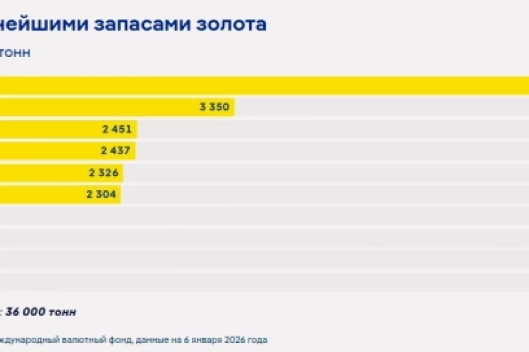 DW: В нынешних условиях Россия может продолжать боевые действия еще несколько лет и в ближайшие год-два не столкнется ни с финансовым кризисом, ни с серьезным ослаблением своих геополитических позиций