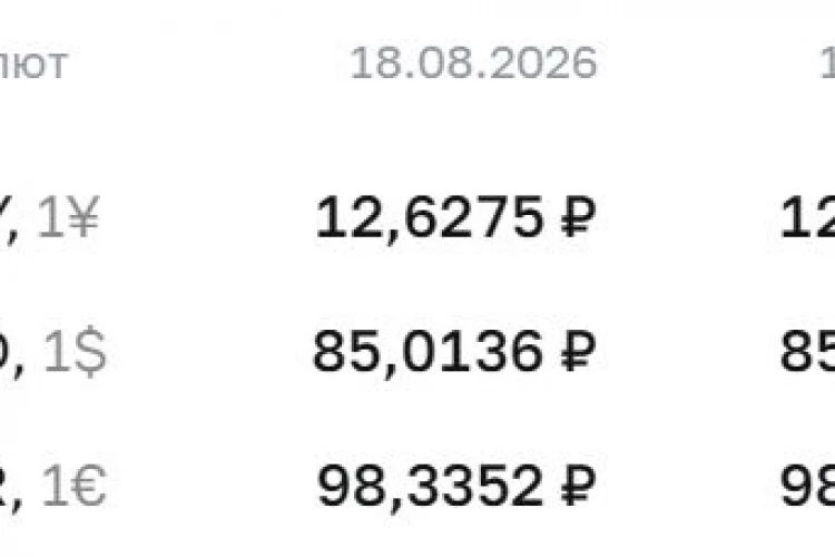 Официальные курсы валют на 19 августа: ¥ — ₽12,6240, $ — ₽85,1645, € — ₽98,7312