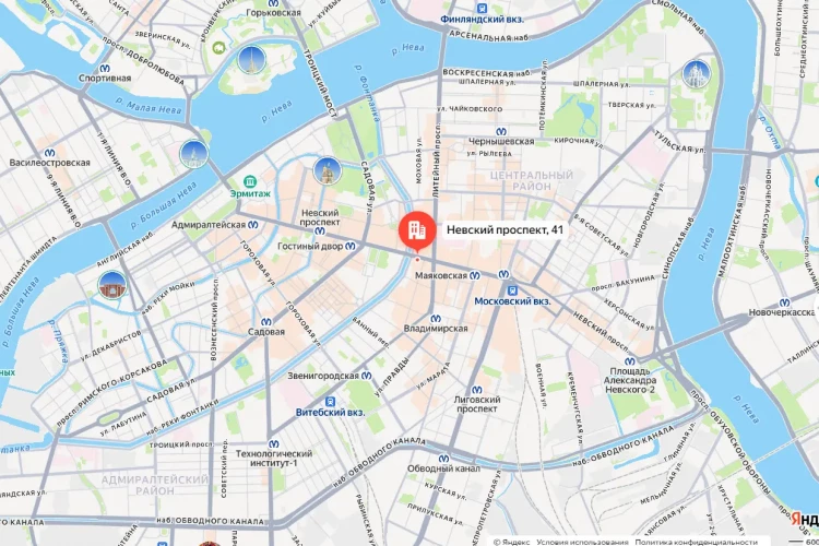 В полиции Петербурга раскрыли подробности ДТП с пешеходами на Невском проспекте