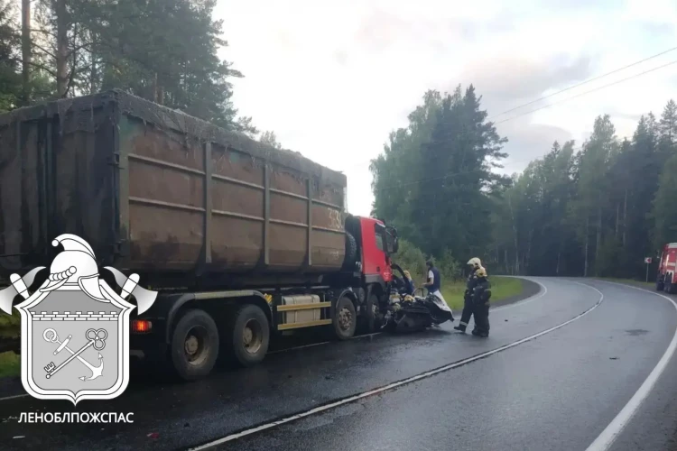 Кадры смертельного ДТП под Всеволожском, где мусоровоз раздавил такси