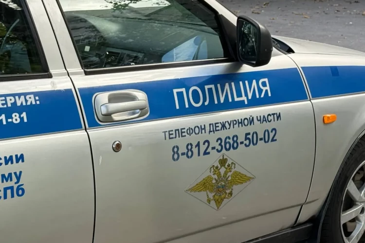 На Мурманском шоссе задержали мужчину, избившего отца-пенсионера ради 900 долларов