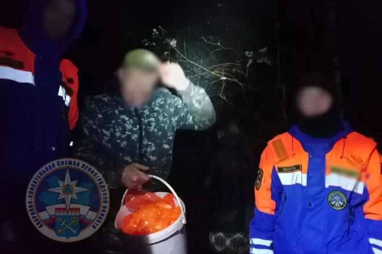 Двое грибников в камуфляже провели ночь среди елок у Коммунар