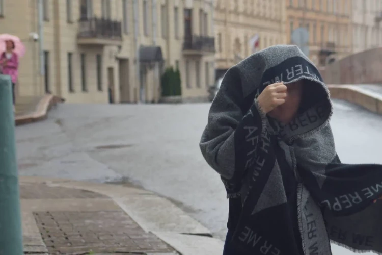 Пятницу в Петербурге омрачит ветер порывами до 15 м/с