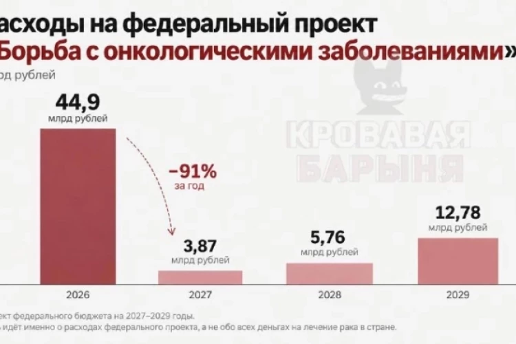 Расходы федерального бюджета на борьбу с раком сократят почти в 12 раз
