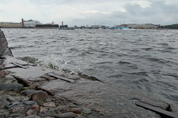 Уровень воды в Неве повысится из-за сильного ветра 6 октября