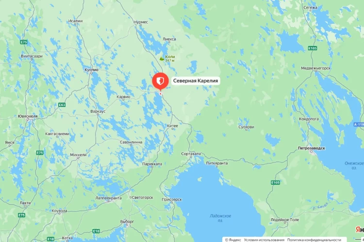 Погранохрана Финляндии назвала локацию самого частого нарушения границы с Россией