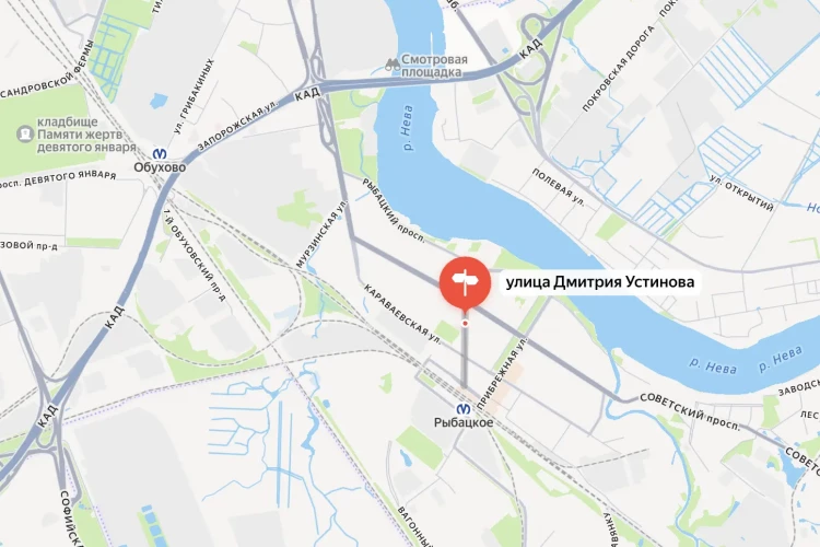 СК задержал 19-летнего петербуржца по подозрению в убийстве матери