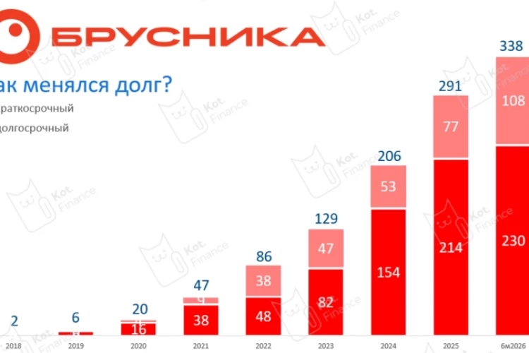 🏗Брусника: как менялся долг?
