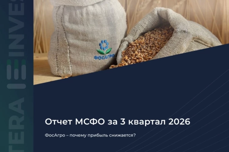 🌿 ФосАгро – почему прибыль снижается?